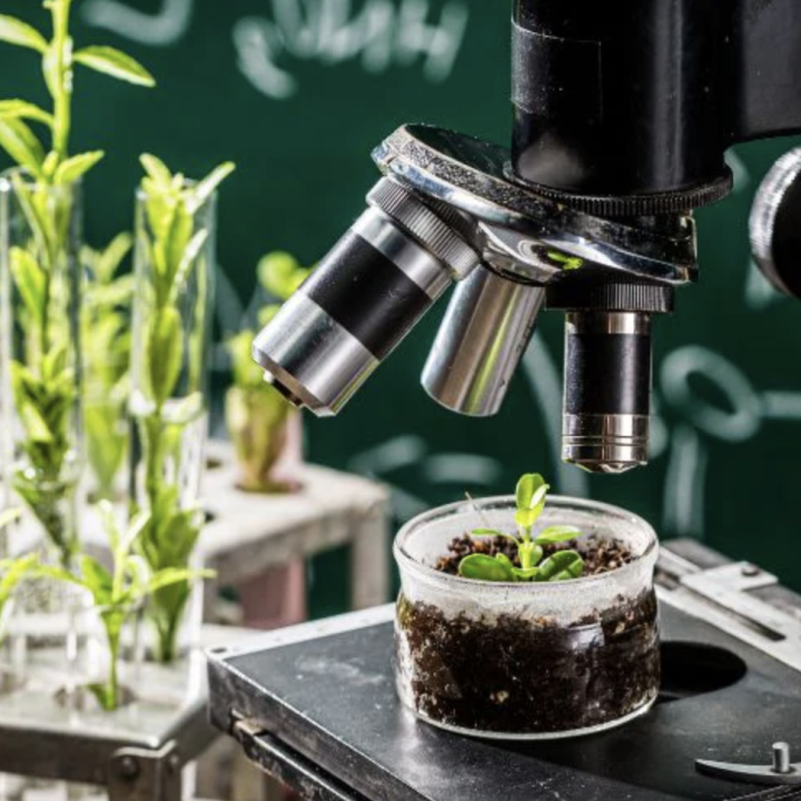 5 Fun Science Experiments to Try with WOWKIDS Microscopes